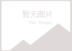 广昌县夏青司机有限公司